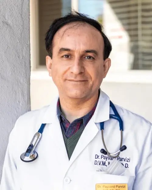 Dr-Parvizi (1)