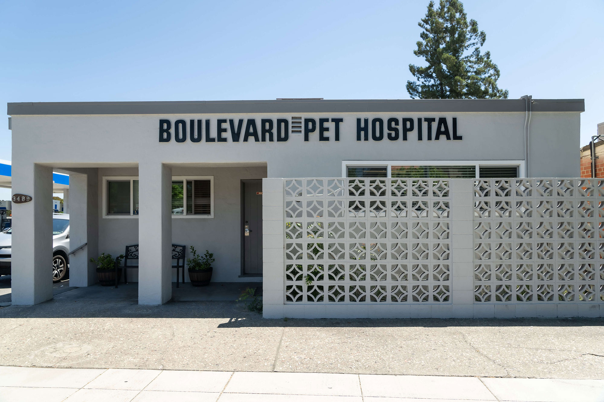 Best Vet Hospital In Castro Valley, CA | Boulevard Pet