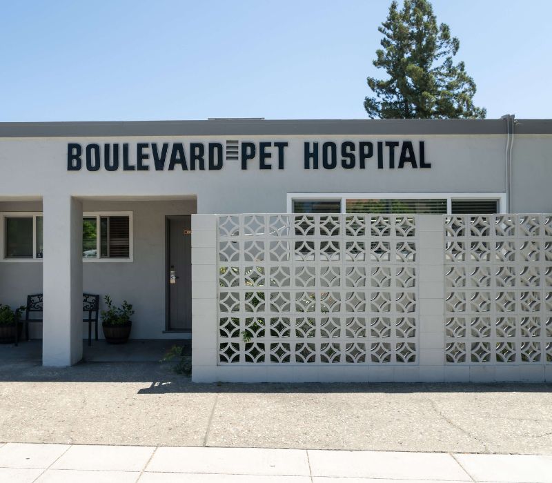 Boulevard Pet Hospital Building